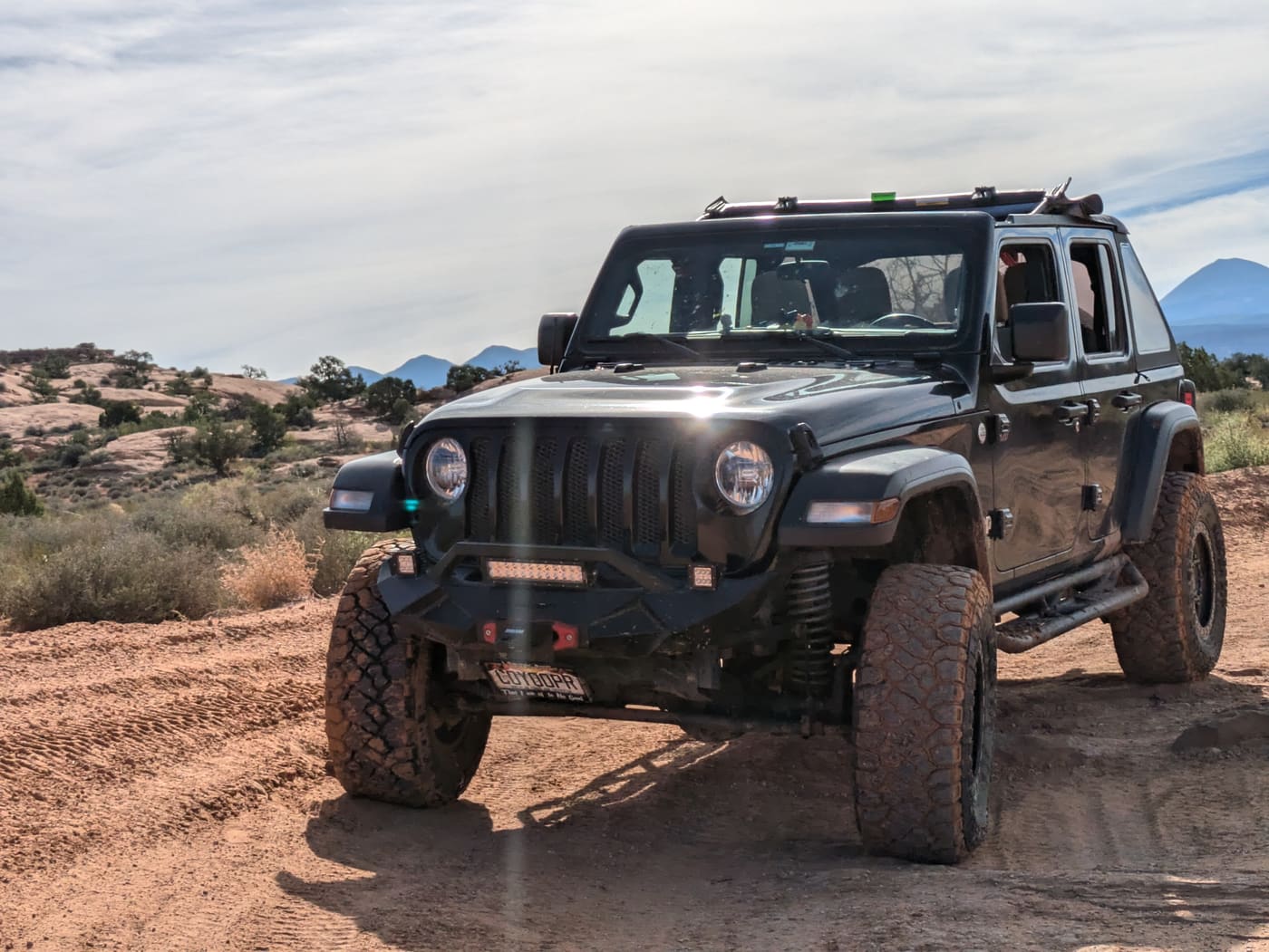Sucia head-on in the sand
